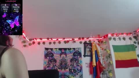 Dakko online show from 16, 1, 2026