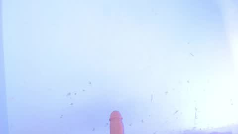 Snapshot of dakkotta_curvy chatting on 10, 10, 2025 VALENTINA online show from 10, 10, 2025