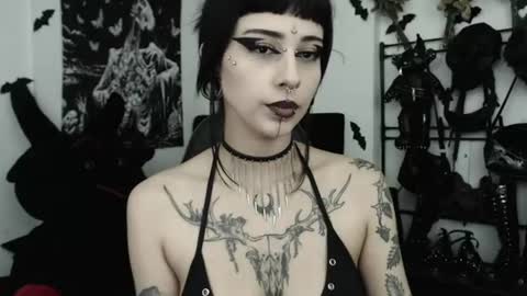 Snapshot of dakota_krall_ chatting on 4, 7, 2026 dakota online show from 4, 7, 2026