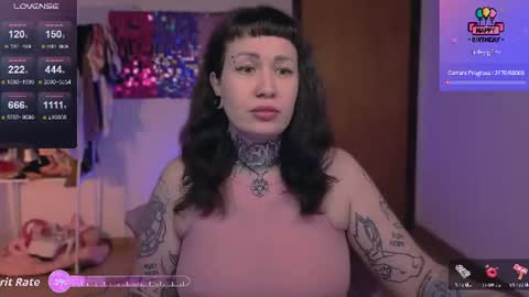 Dakota online show from 4, 7, 2026