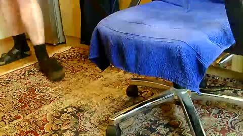 Dammerl online show from 11, 12, 2024