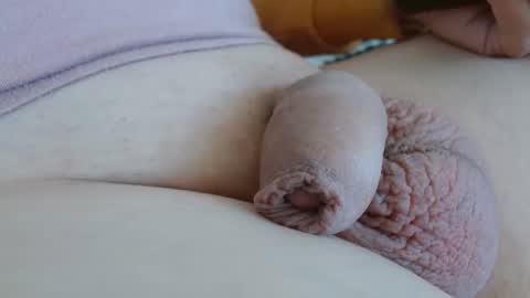 Damocles online show from 11, 9, 2025