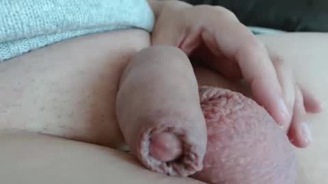 Damocles online show from 1, 11, 2025