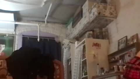 Snapshot of danceissexisbeauty2 chatting on 4, 12, 2024 Your submissive patient online show from 4, 12, 2024