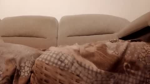 Snapshot of dani225812 chatting on 15, 11, 2025 Dani225812 online show from 15, 11, 2025