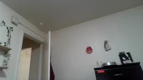 Snapshot of dani_alaska chatting on 24, 2, 2025 Dani online show from 24, 2, 2025