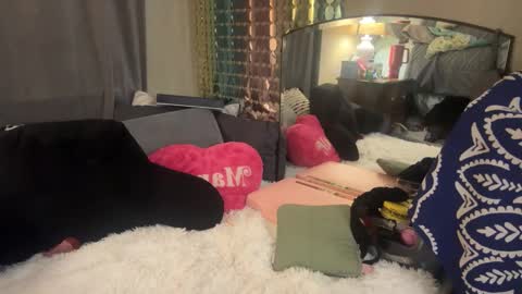 Snapshot of danidragon69 chatting on 5, 2, 2025 Dani Dragon online show from 5, 2, 2025