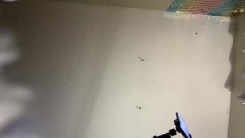 Snapshot of danidragon69 chatting on 8, 2, 2025 Dani Dragon online show from 8, 2, 2025