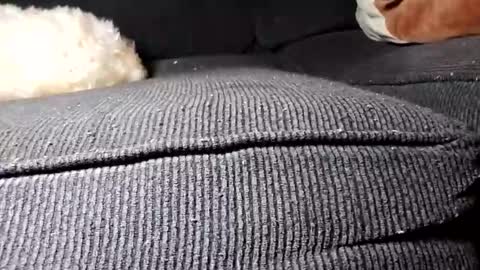 daniel_k69 online show from 19, 2, 2025