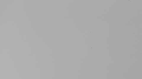 Snapshot of daniel_kingxxx chatting on 2, 3, 2026 daniel_kingxxx online show from 2, 3, 2026