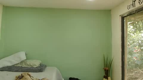 danielitopapii online show from 16, 1, 2026