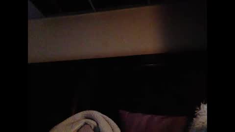 Snapshot of daniellbisous chatting on 16, 2, 2026 daniellbisous online show from 16, 2, 2026