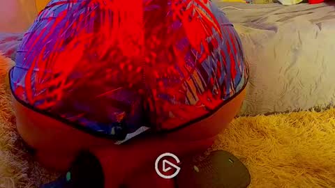 Snapshot of dankshepp chatting on 26, 1, 2025 dandeb online show from 26, 1, 2025