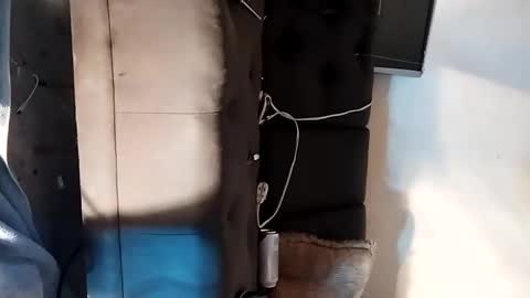 Snapshot of dankshepp chatting on 15, 9, 2025 dandeb online show from 15, 9, 2025