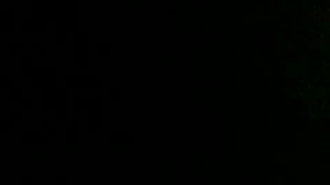 Snapshot of dankshepp chatting on 2, 10, 2025 dandeb online show from 2, 10, 2025