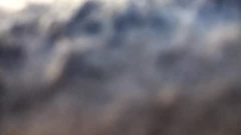 dannowisc online show from 17, 2, 2026