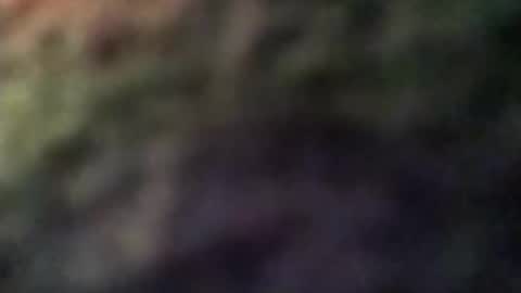 dannowisc online show from 8, 4, 2026