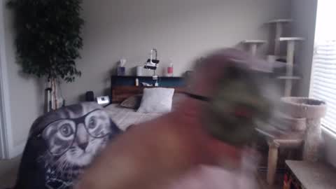 Snapshot of dannybear chatting on 22, 12, 2024 Danny bear online show from 22, 12, 2024