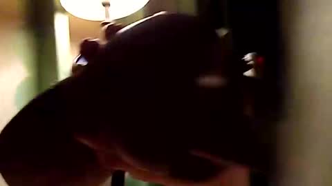 Snapshot of dano9696 chatting on 1, 11, 2025 dano9696 online show from 1, 11, 2025