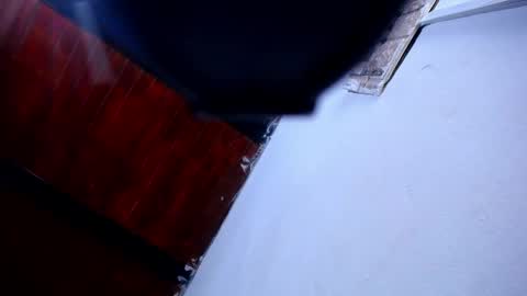 DARA online show from 12, 4, 2026