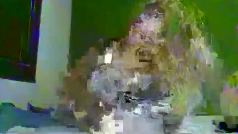 darius171987 online show from 26, 3, 2026