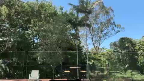 Snapshot of dartanian0001 chatting on 30, 9, 2025 dartanian0001 online show from 30, 9, 2025