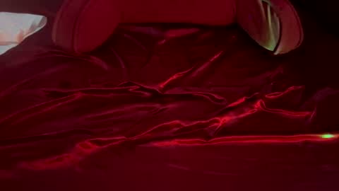 daturasgarden online show from 11, 7, 2026