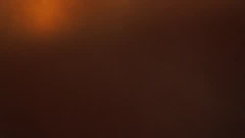 davdao3 online show from 22, 10, 2025