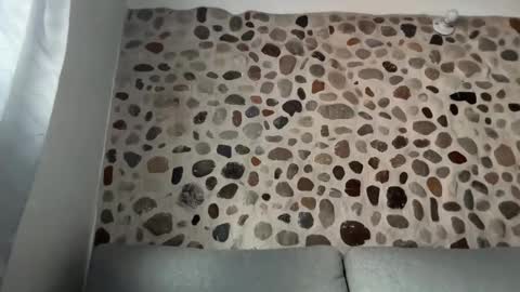 David online show from 26, 11, 2025