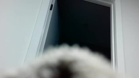 Davvyd online show from 18, 9, 2025