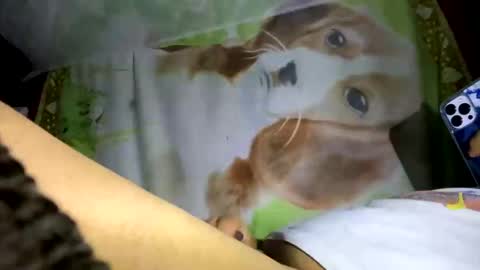 Snapshot of davzsoher chatting on 10, 1, 2025 davzsoher online show from 10, 1, 2025