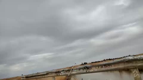 dbfroge online show from 13, 10, 2025