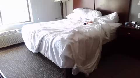 DCrush online show from 8, 12, 2024