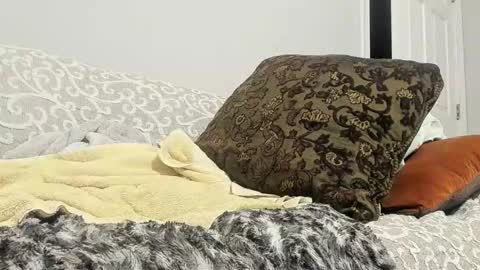 Deez Nutz online show from 24, 2, 2025