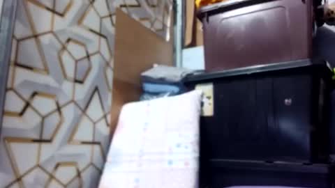 Snapshot of deliciousgirl975840 chatting on 1, 6, 2026 deliciousgirl975840 online show from 1, 6, 2026