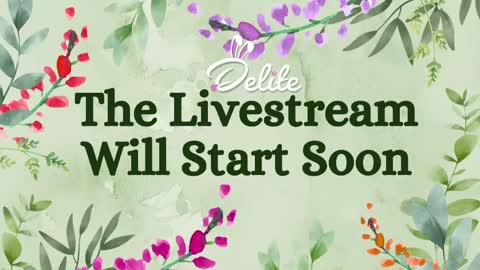 DeLite  Next stream on Wednesday or Thurdsay  online show from 14, 4, 2026