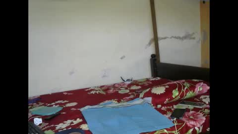 Ginger online show from 3, 3, 2025