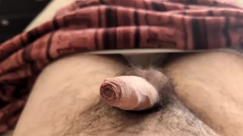 Snapshot of denis647 chatting on 5, 2, 2025 LilRoach online show from 5, 2, 2025