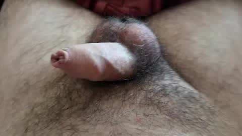 Snapshot of denis647 chatting on 15, 9, 2025 LilRoach online show from 15, 9, 2025