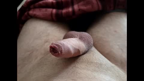 Snapshot of denis647 chatting on 25, 2, 2026 LilRoach online show from 25, 2, 2026