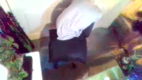 denveversbb online show from 3, 4, 2026