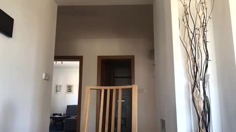 desirtexz online show from 25, 4, 2026