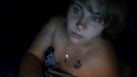 devykitten online show from 14, 7, 2026