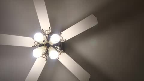 Snapshot of diamonde_steele chatting on 12, 12, 2024 diamonde_steele online show from 12, 12, 2024