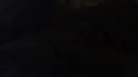 Dick And Muscle online show from 12, 3, 2026