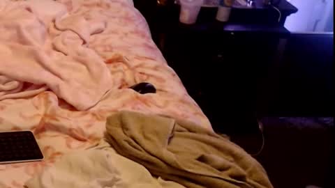 Snapshot of dickgiggler chatting on 1, 3, 2026 Sparkx online show from 1, 3, 2026