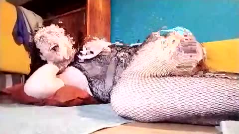 Snapshot of dickycumalotofficial chatting on 1, 3, 2025 Dicky online show from 1, 3, 2025