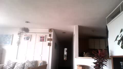 diego_incubo_ii online show from 15, 7, 2026