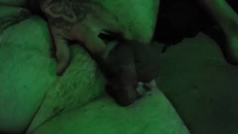 Snapshot of dikkdixon chatting on 28, 2, 2026 dikkdixon online show from 28, 2, 2026