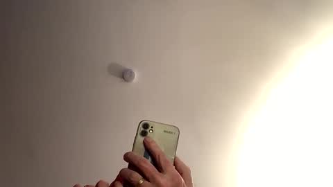 Snapshot of dildolover1966 chatting on 15, 1, 2026 Dildolover online show from 15, 1, 2026